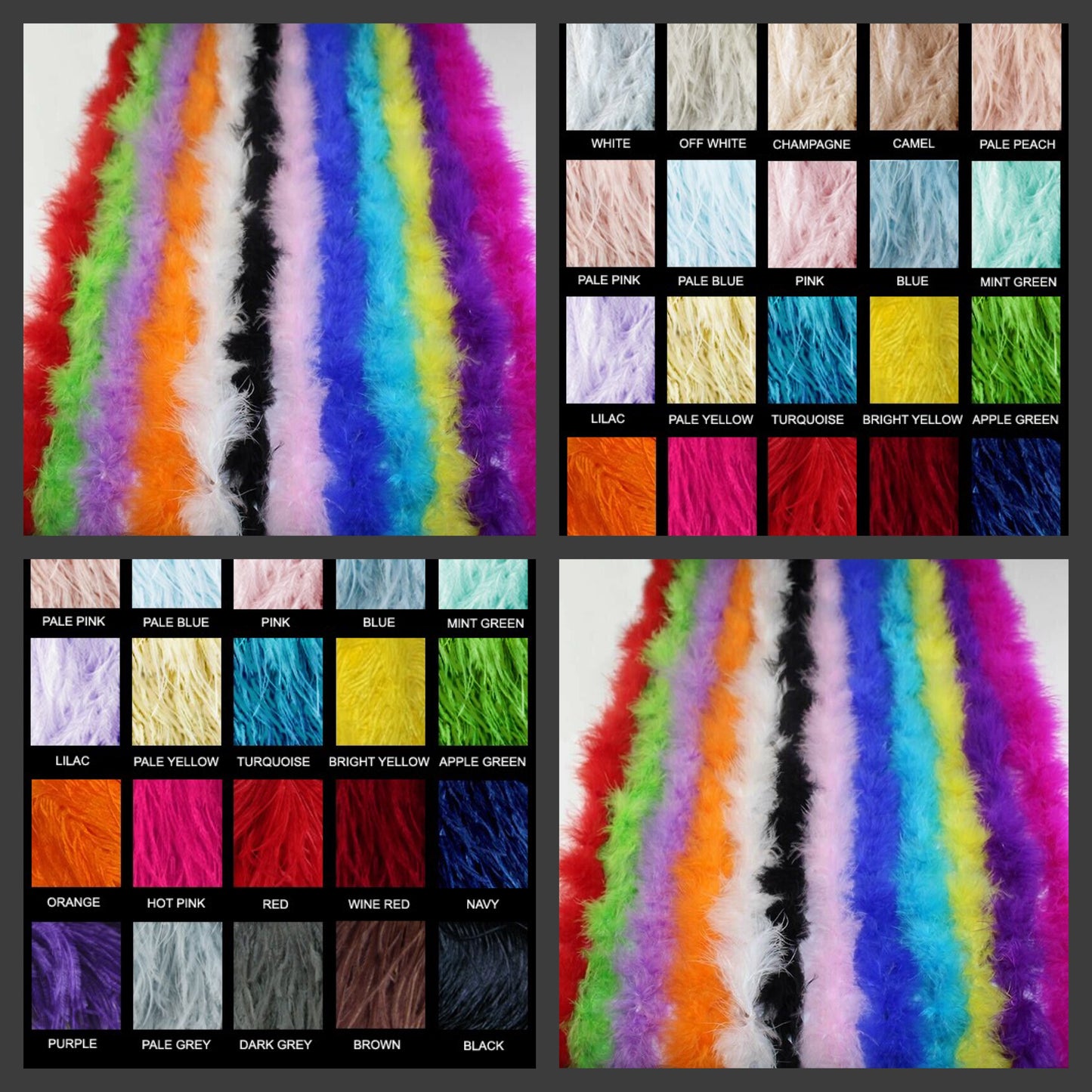 Black Feather Pantie