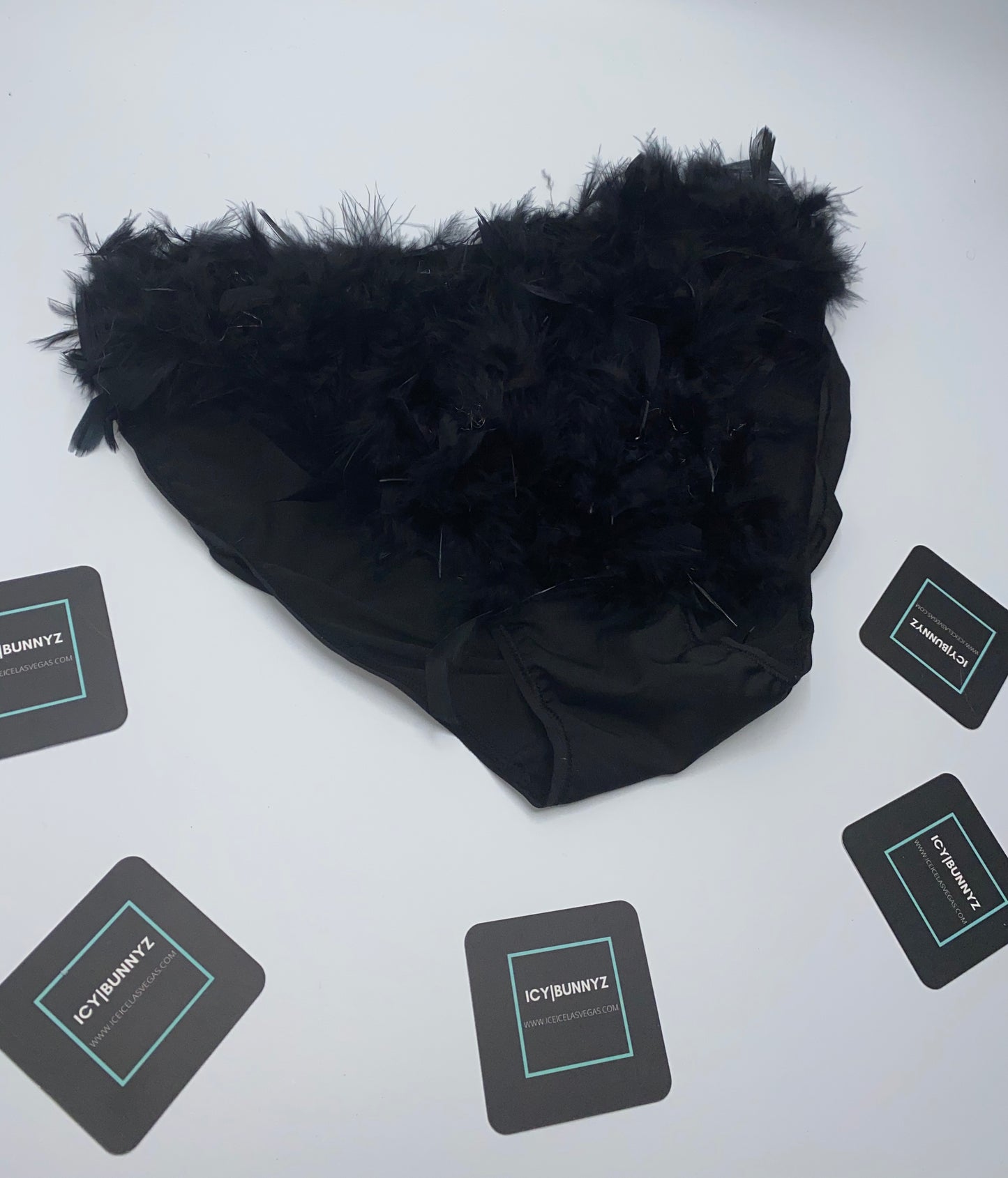 Black Feather Pantie