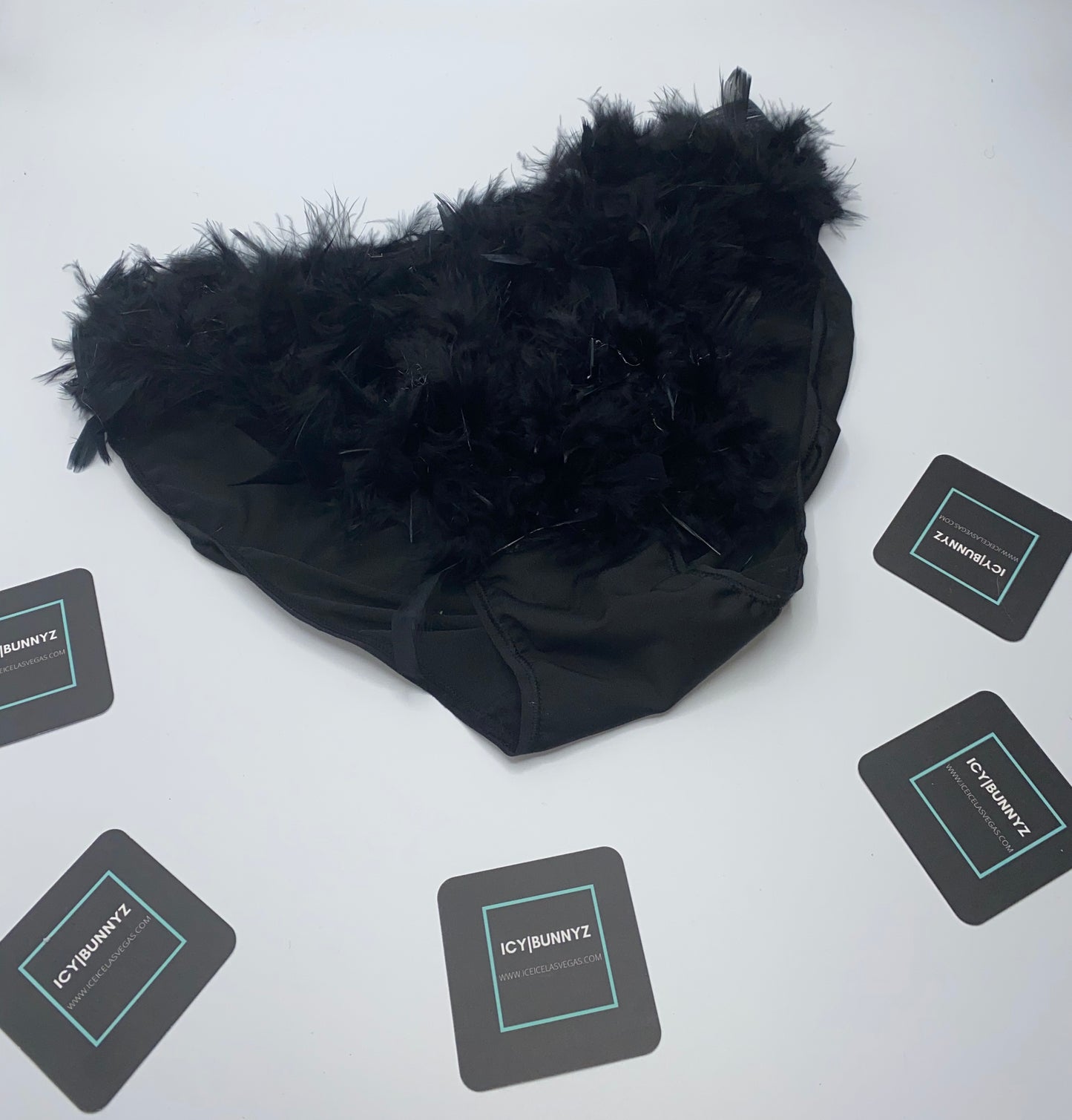 Black Feather Pantie