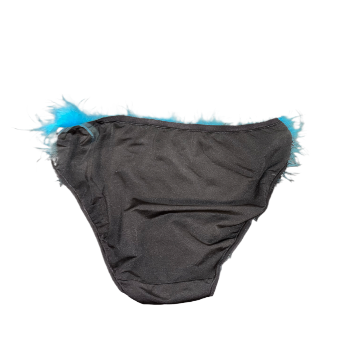 Blue Feather Pantie