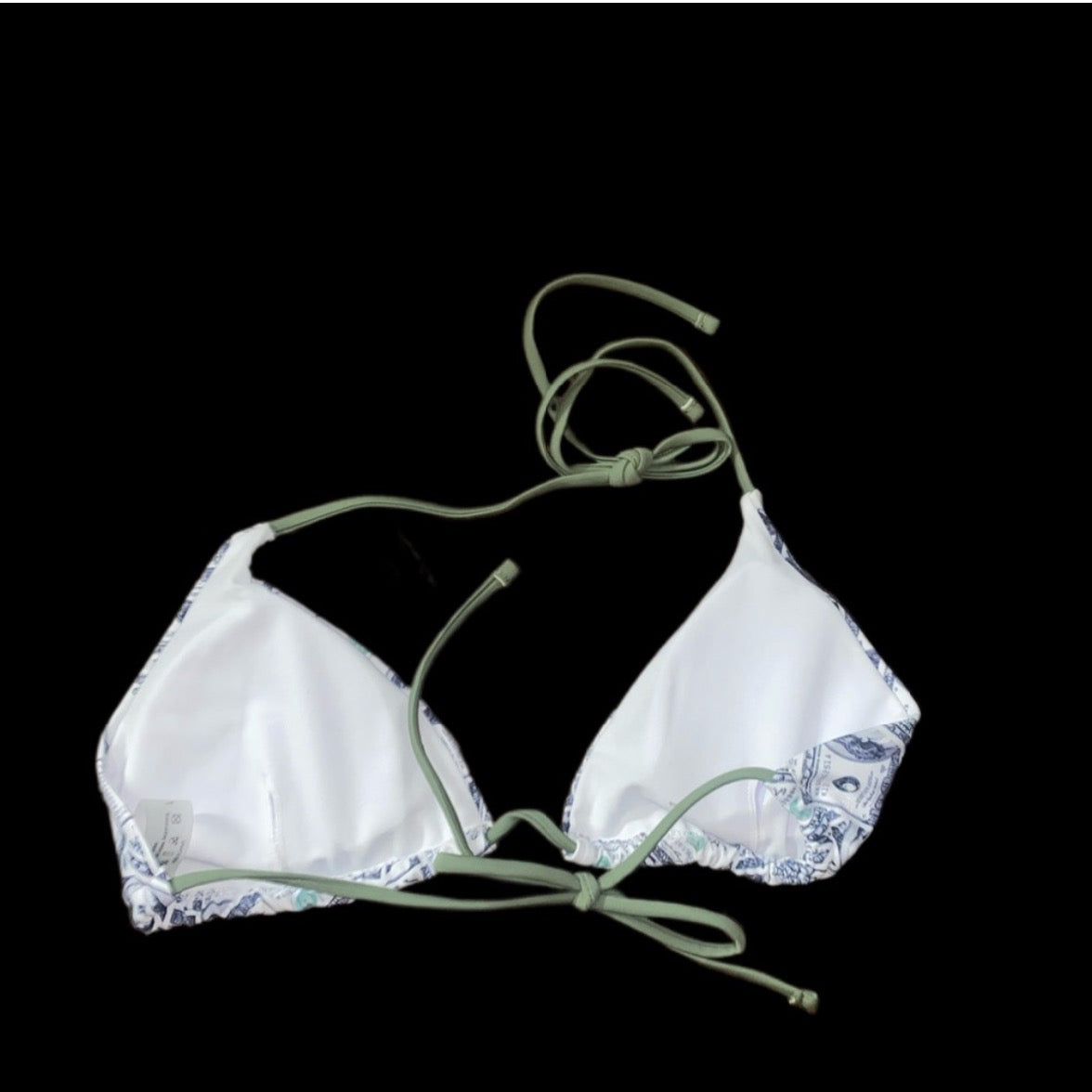 Sparkly Money Print Bikini Size Large