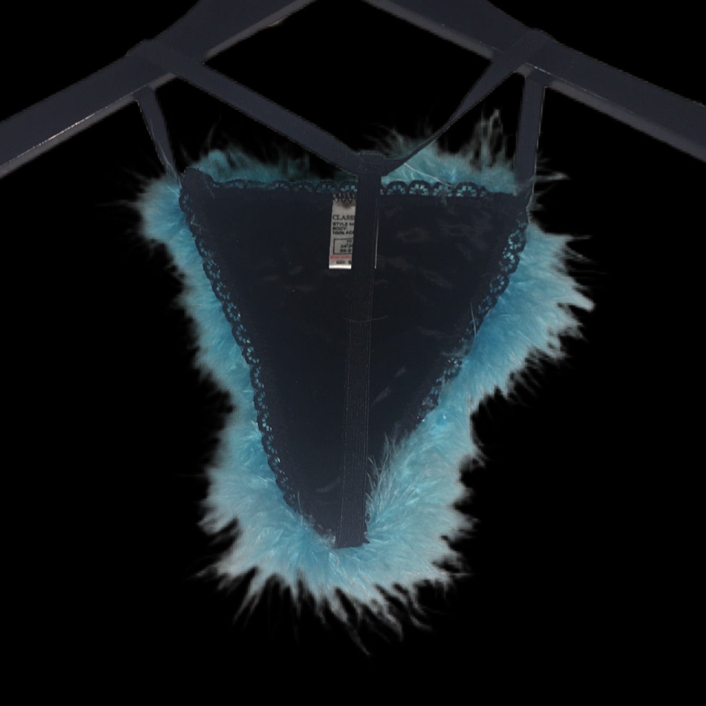 Baby Blue Feather Pantie