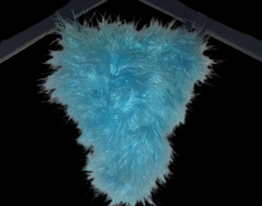 Baby Blue Feather Pantie